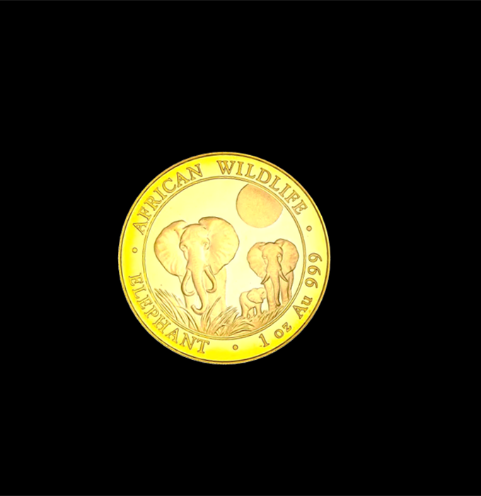 Elefant2014B