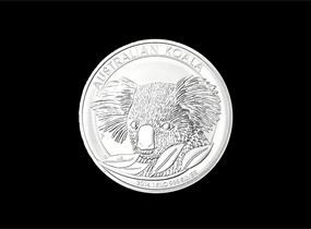 koala2014