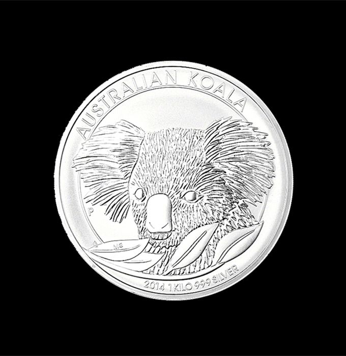 koala2014