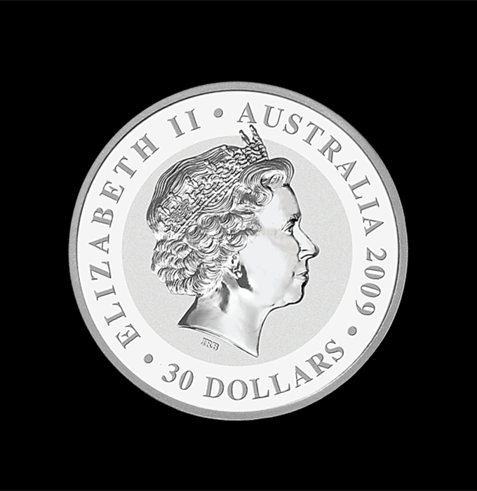 Koala2009E