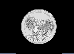koala2014A
