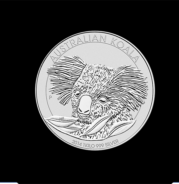 koala2014A