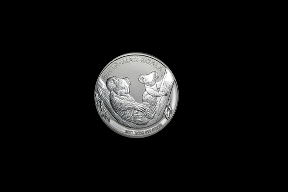 Koala1kgBak